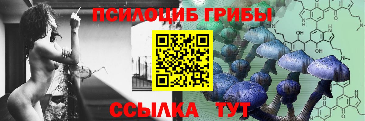 Галлюциногенные грибы прущие грибы Отрадный