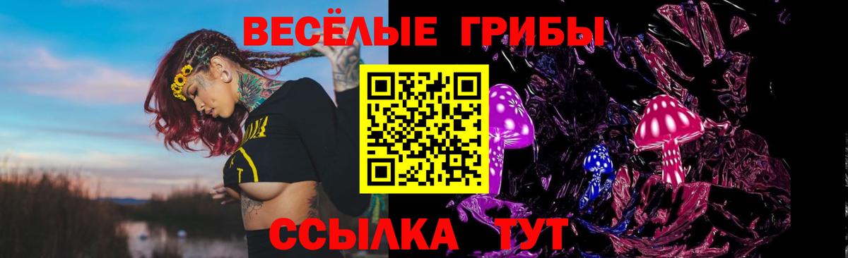 Отрадный  Псилоцибиновые грибы мухоморы  Вход с VPN 